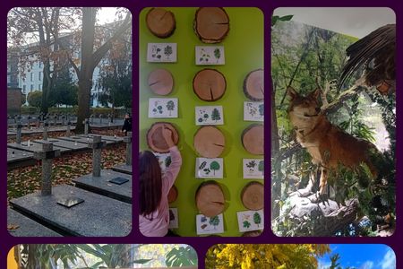 Ilustracja do informacji