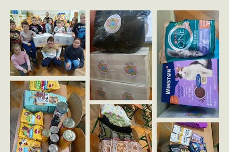 Ilustracja do informacji