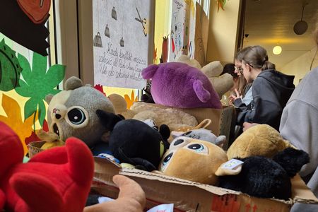 Ilustracja do informacji