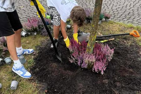 Ilustracja do informacji